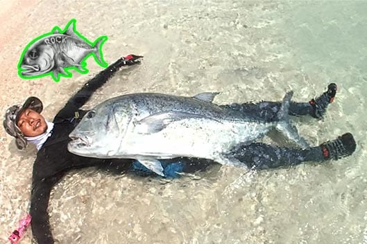 kanton atoll gt popping fly fishing feature image 2015