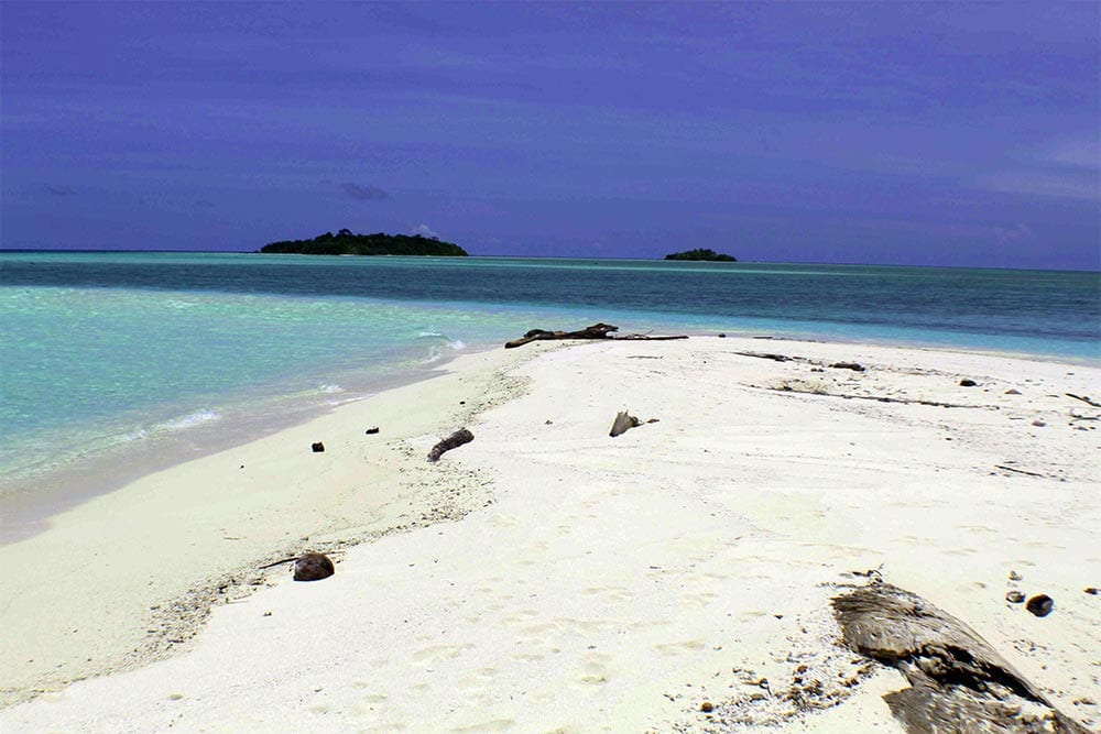 rock expeditions report giant trevally papua new guinea reef camp beach view