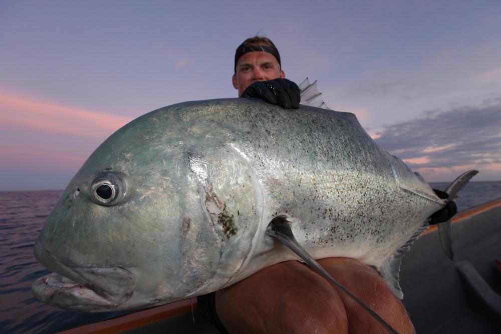 papua new guinea sportfishing png gt giant trevally dogtooth napoleon fishing 164 1