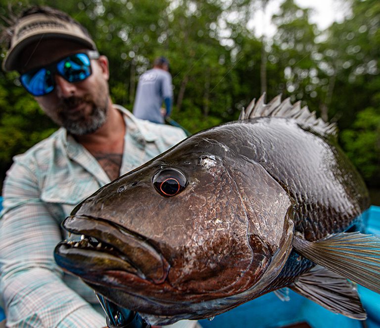 papuan black bass sportfishing rock expeditions indonesia