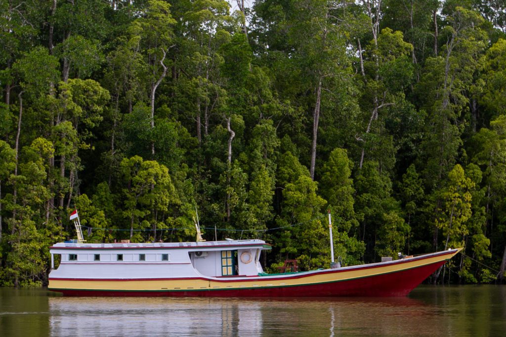 ROCK MOTHERSHIP JUNGLE RIVERMOUTH